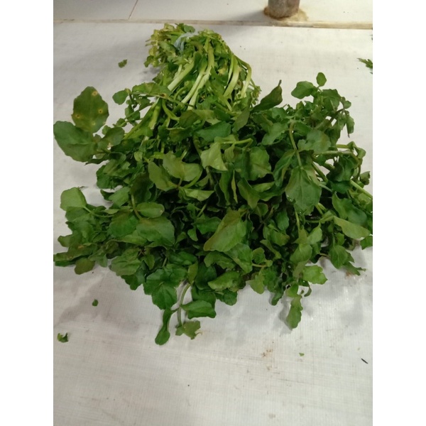 

selada air 300gram Rp 5.000