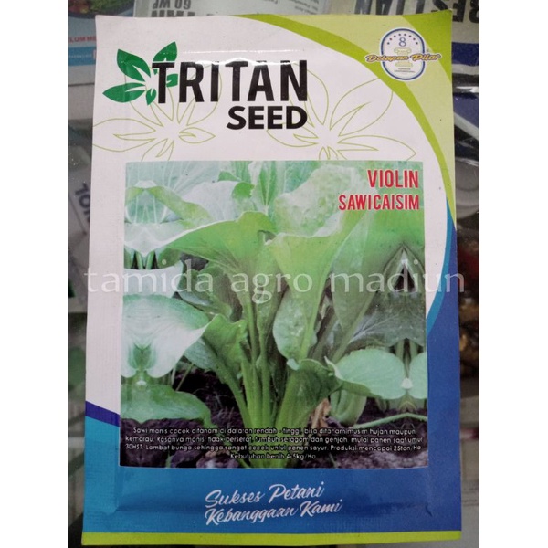 benih bibit sawi VIOLIN sawi bakso sawi manis