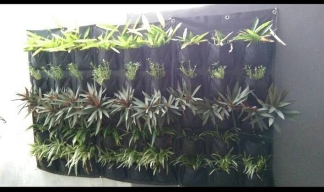 Vertical garden TOB pot kantong( Wall Planter Vertikultur 15 kantong)