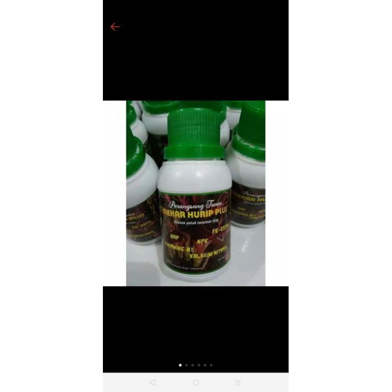 perangsang tunas mekar hurip