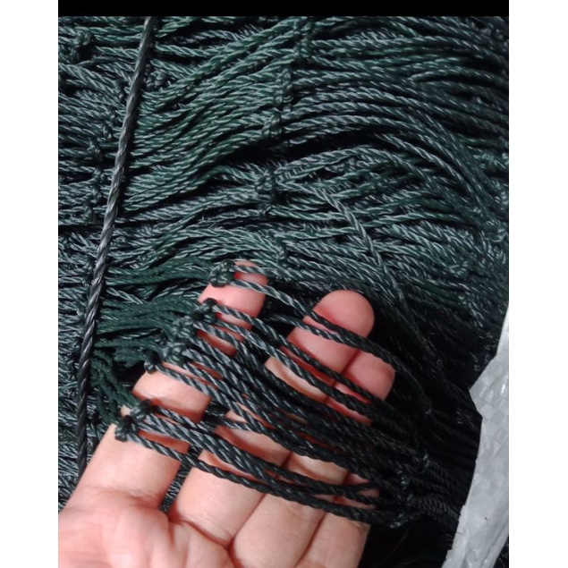 jaring pertanian teady