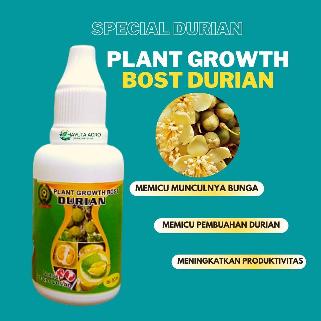 Pupuk Pemacu Buah Durian, BISA COD Pupuk Pemacu Bunga Durian, Pupuk Pemicu Bunga Tanaman Durian