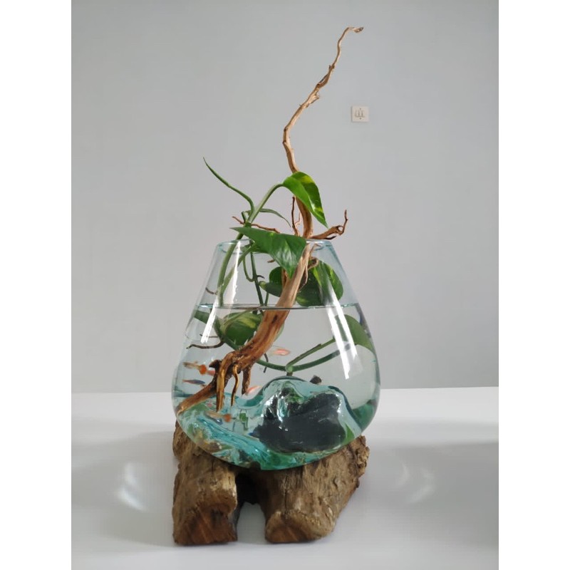 Aquarium Cupang Fishbowl Kayu Ukuran L