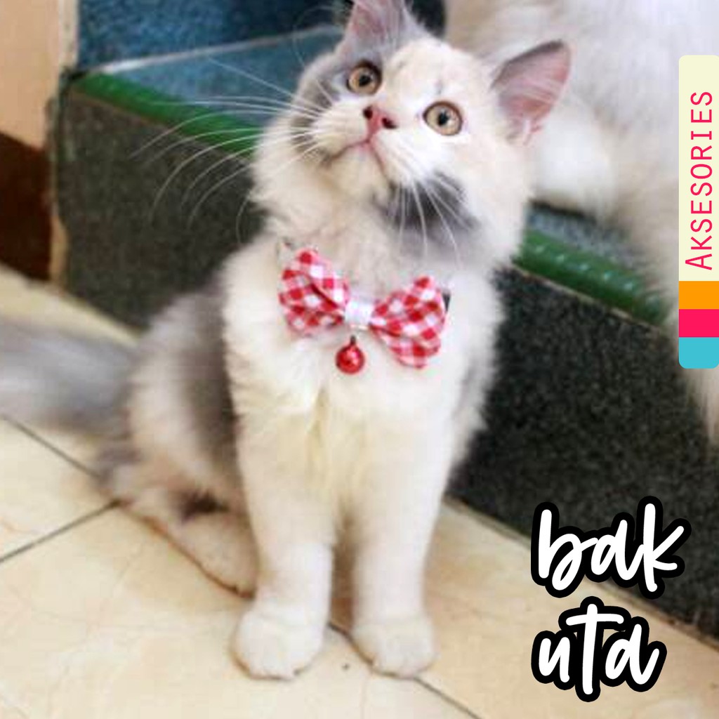 Dasi kupu-kupu lucu untuk kucing atau anjing baju kucing murah meriah size Adult kitten