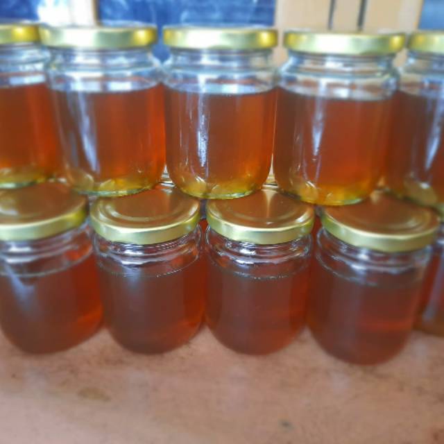 

Madu nektar bidara import mesir