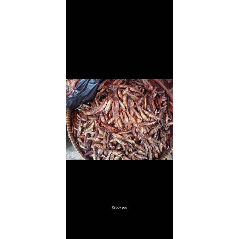 

BADA SALAI MANINJAU isi 1 kg