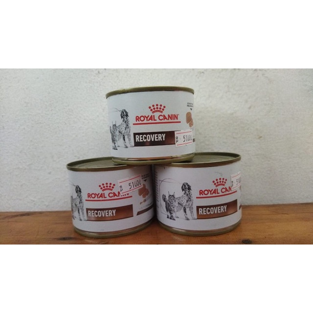 Royal Canin Recovery