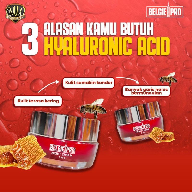 Skincare Belgie Pro Night Cream