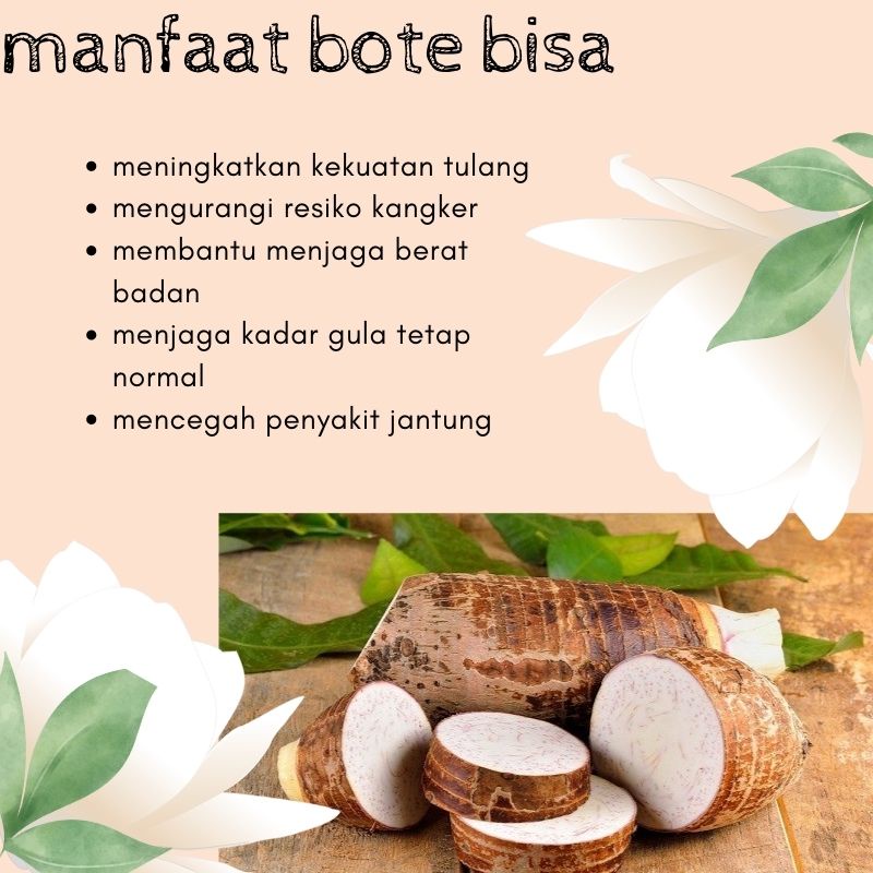

Kripik bote renyah 100gr