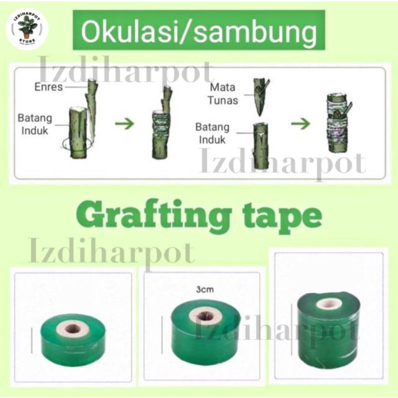 GRAFTING TAPE PLASTIK OKULASI CANGKOK SAMBUNG PUCUK 3 X 100 M - HIJAU