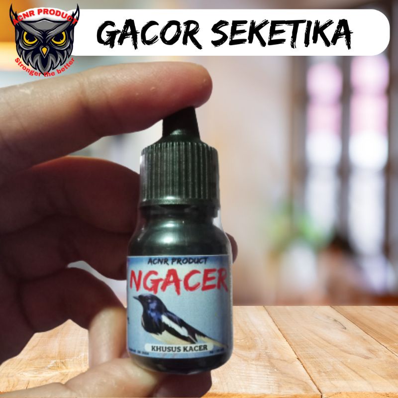 NGACER VITAMIN PENGGACOR BURUNG KACER OBAT GACOR BURUNG KACER VITAMIN GACOR BURUNG KACER LOMBA