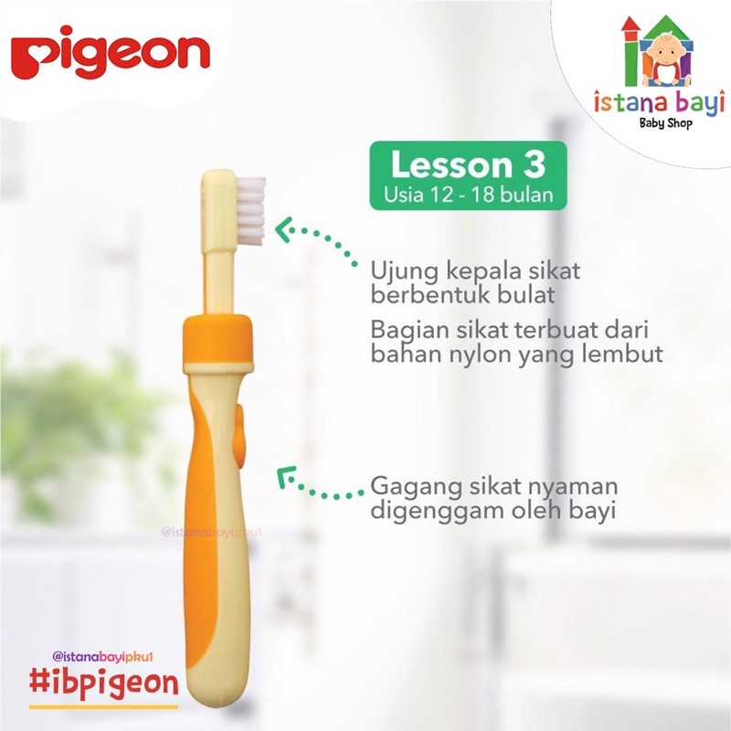 Pigeon Training Toothbrush Lesson - 3 - Sikat Gigi Bayi