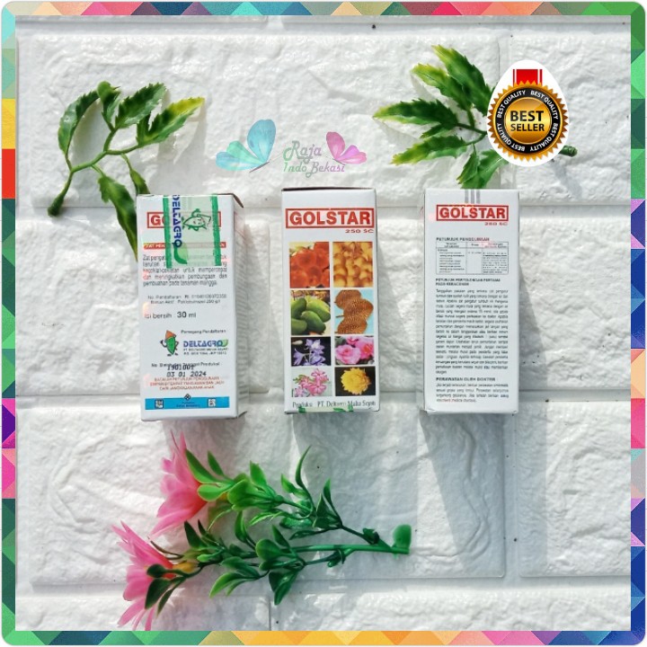 Sekarganes Golstar 30 Ml 250 Sc Pupuk Zpt Mempercepat Bunga Buah Mangga Kelengkeng Bukan Gold Star