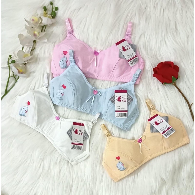 Bra BH Fashion Remaja | Bra Pelajar wanita Murah BH Busa Tipis Tanpa Kawat  / COMBI