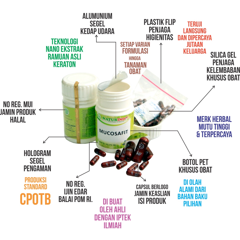 Obat Asma Bengek Sesak Napas Penyempitan Jalan Napas Pelega Pernapasan Spesial Paru Paru Memperlancar Pernapasan Herbal Bpom Bron C Fit Naturindo Fit-4