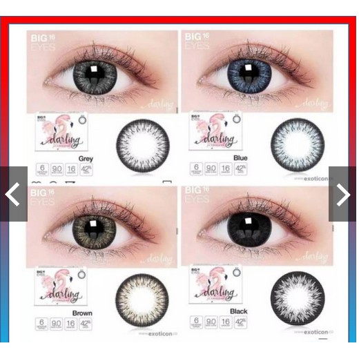 SOFTLENS X2 DARLING