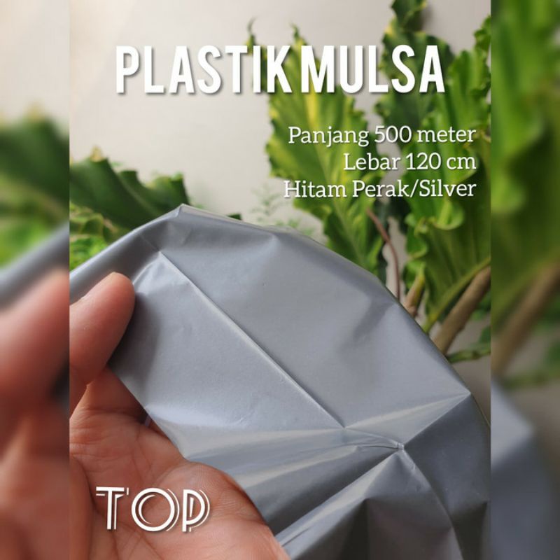 Plastik Mulsa Hitam Perak/Silver TOP 500m x 120cm (1.2m)
