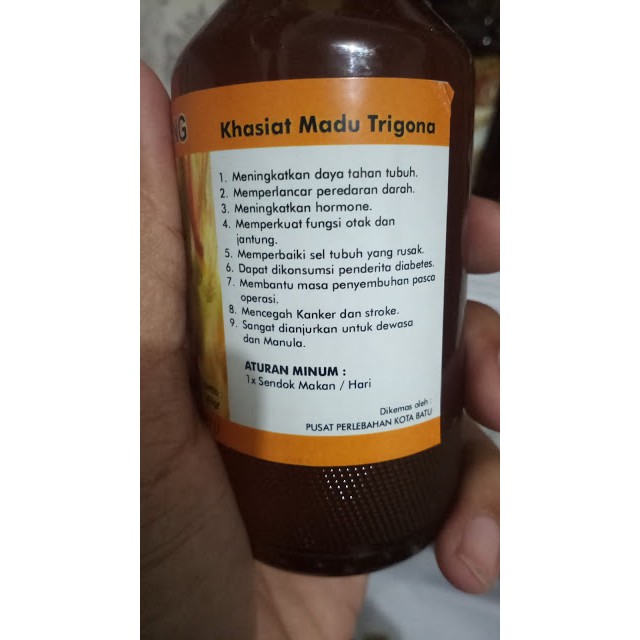 

Madu Trigona - MADU KOTA BATU - HERBAL UNTUK MENGOBATI ASAM URAT
