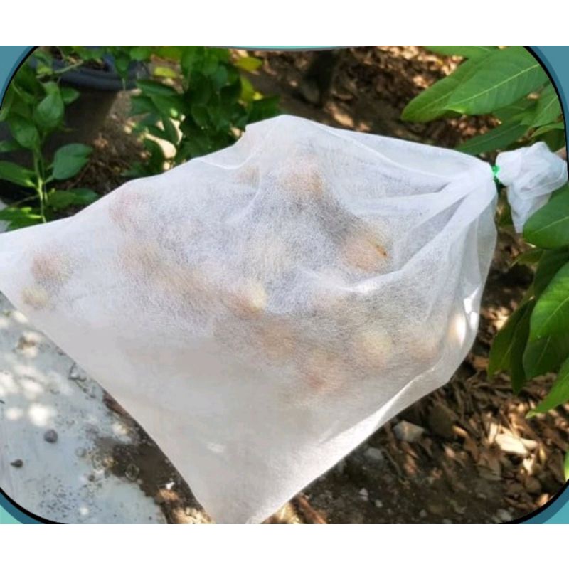 fruit cover easy Grow size L 4pcs pembungkus buah