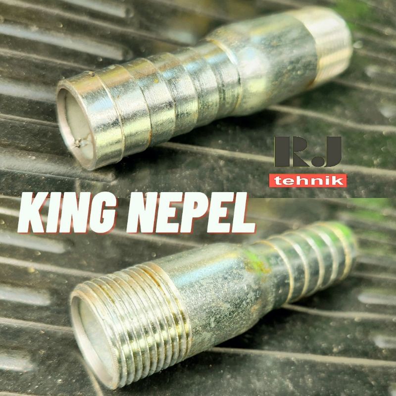 King Napel Naple Nepel Niple Import Pom Mini Pertamini 2 - 4 inch