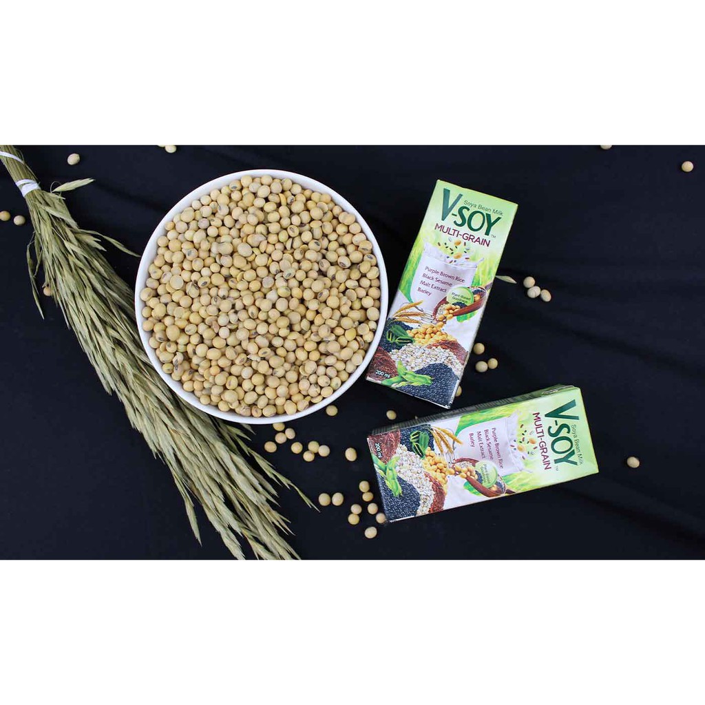 

V-Soy UHT Multigrain 200 ml / 1 Karton isi 48 pcs