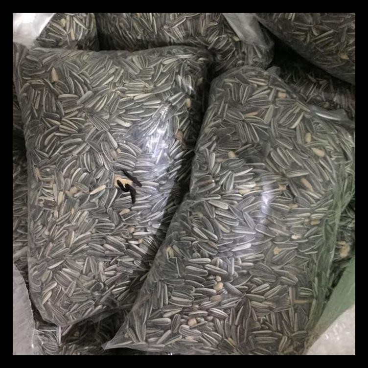 Dijual Kuaci Hitam - Kwaci Hitam - Makanan Burung