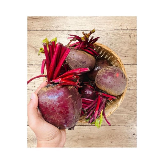 

Buah BIT beetroot untuk kesehatan