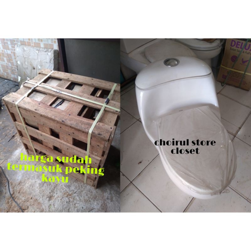 toilet duduk  toto cw894j