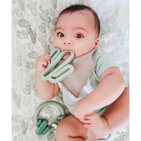 Itzy Ritzy Chew Crew Silicone Baby Teether | Gigitan Bayi Silikon