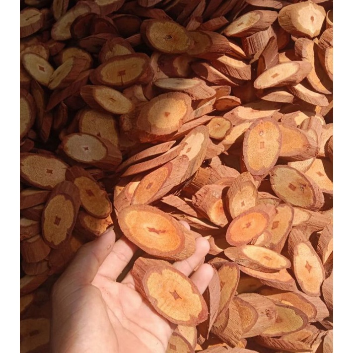 

AKAR BAJAKAH KALALAWIT 1KG (BONUS 100gr TAMPALA/AKAR KUNING)