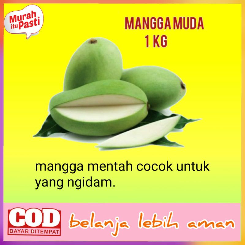 

buah mangga muda asem mentah 1kg /mangga rujak /mangga mentah