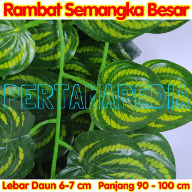 RAMBAT SEMANGKA  BESAR 90 Daun  Rambat Plastik Daun  Rambat 