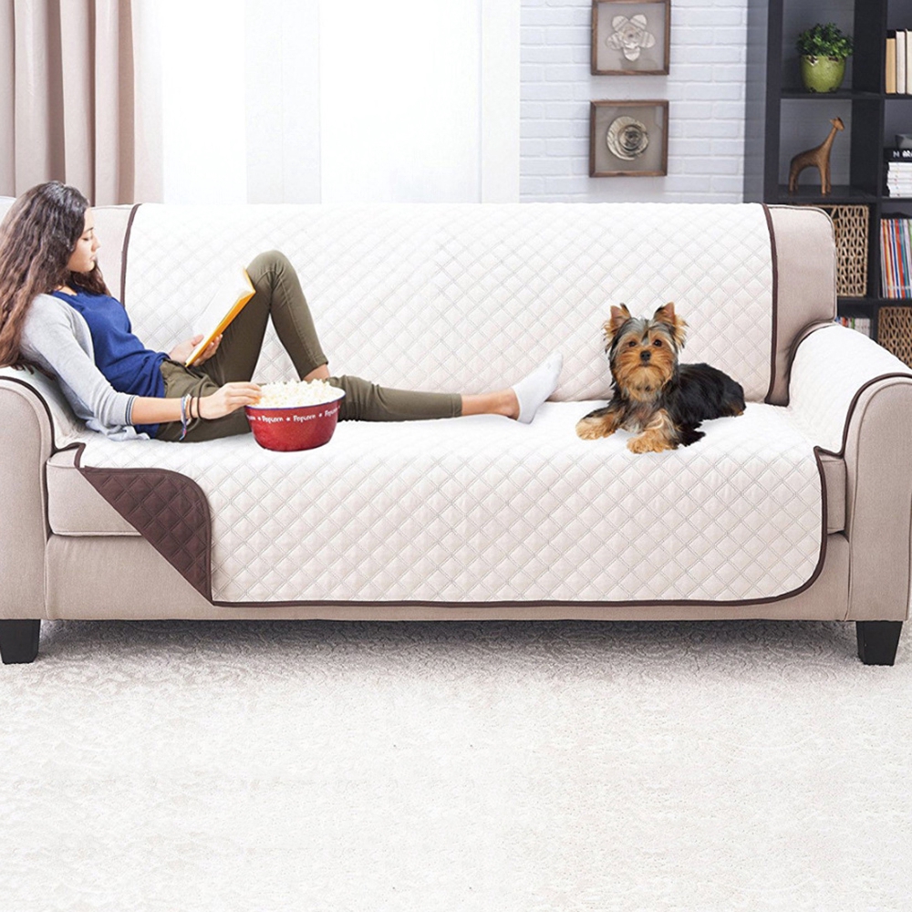 pet and kid friendly couches