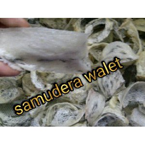 Paket 7 Flashdisk Suara Panggil Walet dan Inap Walet Bagus