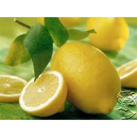 

Buah Citrus limon L (Lemon)