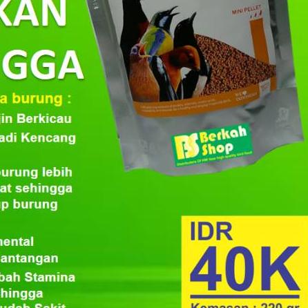 ♘ HW KICAU PREMIUM ←