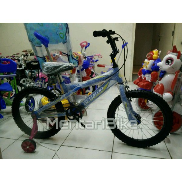 Senator BMX 18 Slammer