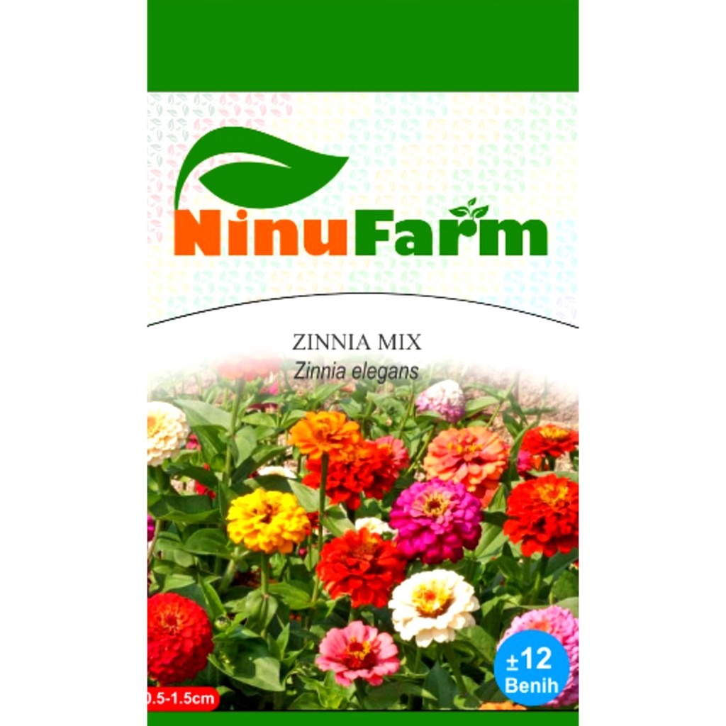 Benih Biji Zinnia Mix - Ninu Farm