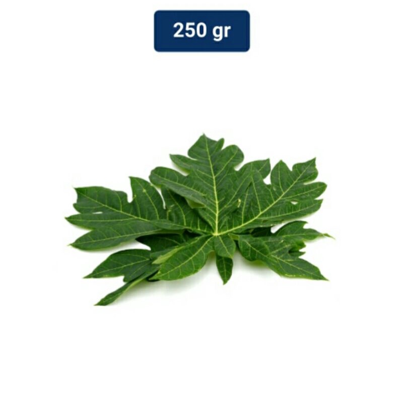 

Daun Pepaya 250 gr