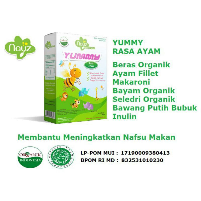 Nayz Bubur Bayi Beras Organik - 275g (Kotak)