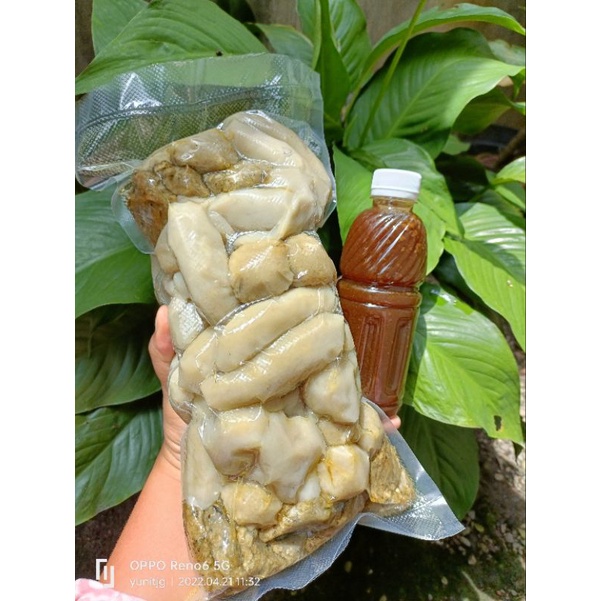 

Pempek Khas Palembang Kemas Vakum