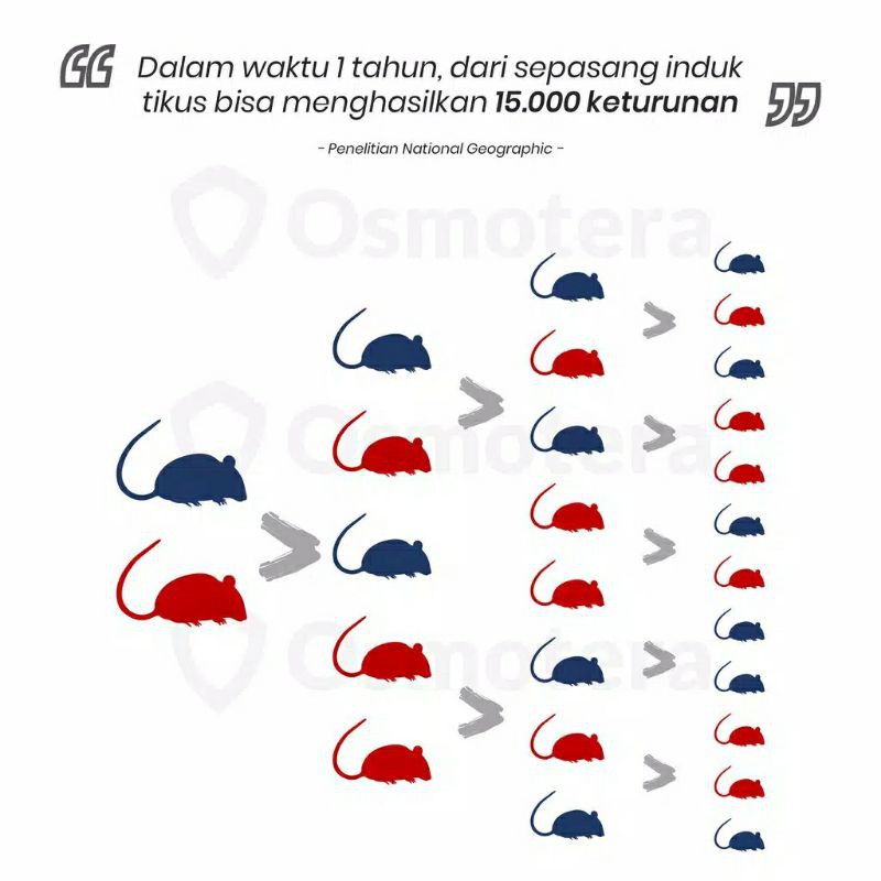 Osmotera Mouse Spray Pengusir Tikus Tanpa Racun