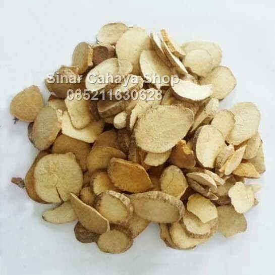 

100 G GR GRAM ZE XIE WATER PLAINTAIN RHIZOME RHIZOMA ALISMATIS ALISMA