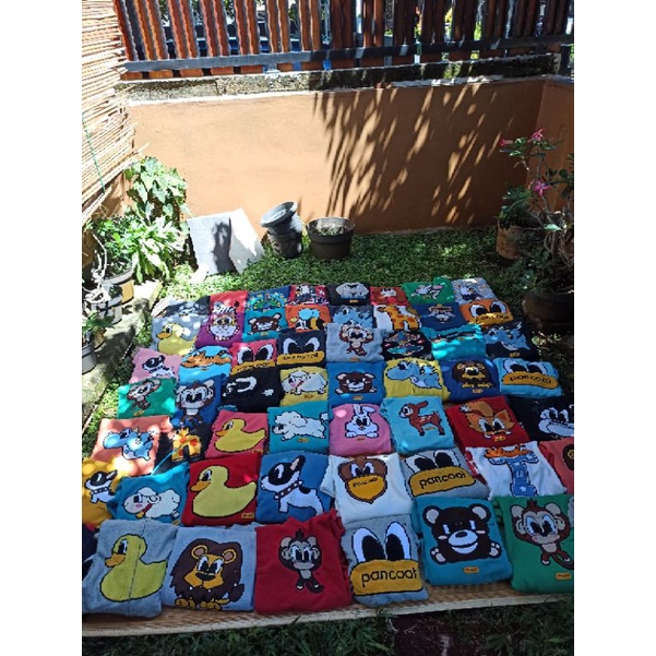 borongan pancoat 10pcs