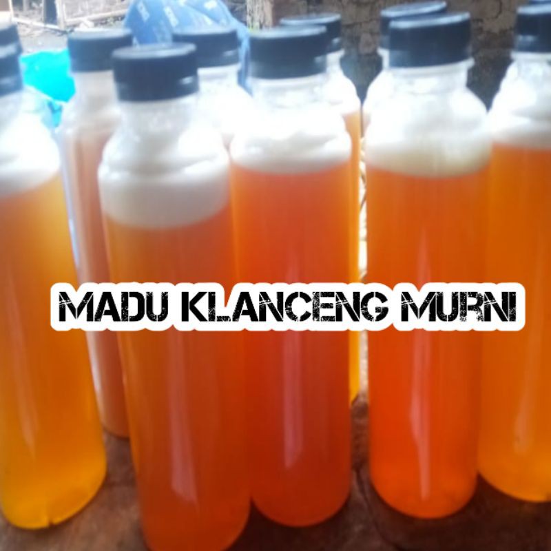 

Madu klanceng asli 100% (MURNI)