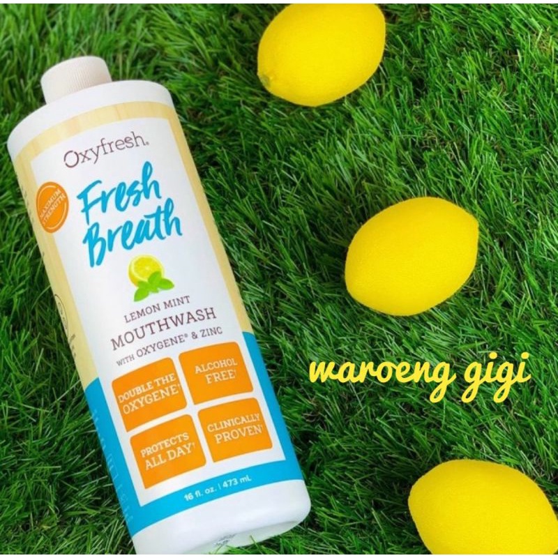 Oxyfresh Obat Kumur Mint 473ml / Oxyfresh Obat Kumur Lemon 473ml /Oxyfresh Mouthwash