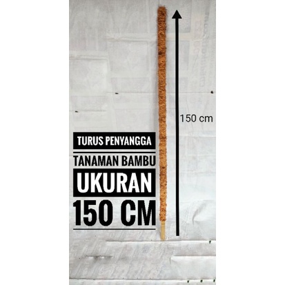 Turus Penyangga Tanaman Ukuran 150 cm