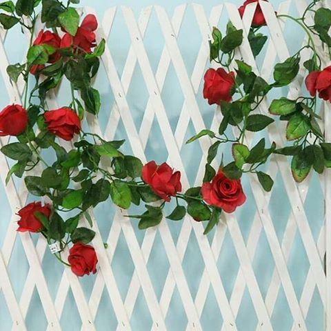 Mawar Rambat / Mawar Juntai / Mawar Rambat Artifiical / Mawar Palsu