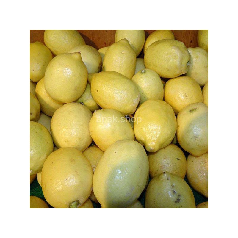 

Lemon lokal 1 kg
