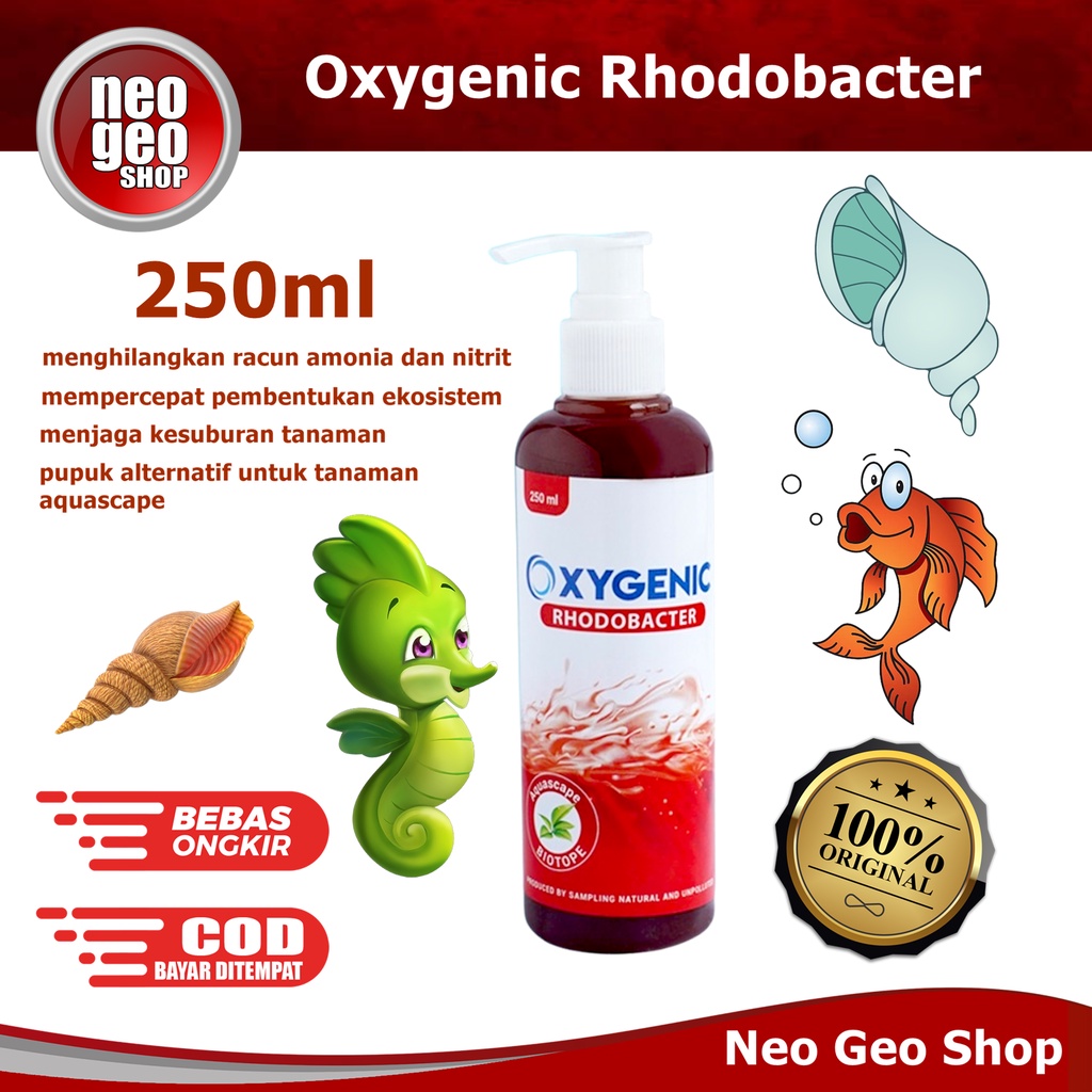 oxygenic rhodobacter bakteri starter probiotik biotope aquascape aquarium